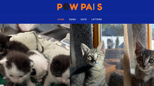 Paw Pals Online